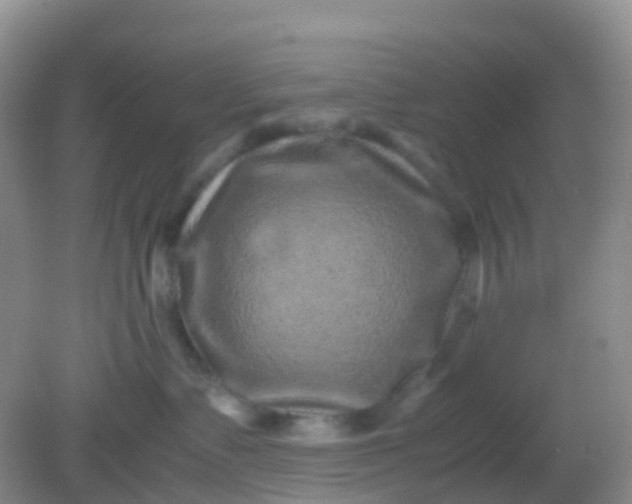 X0000081410335200701261830