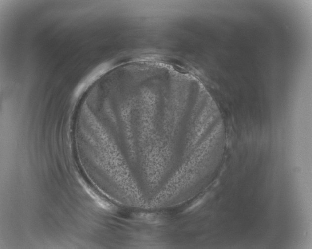 X0000081410341200701261829