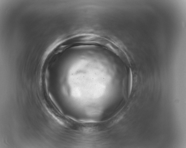 X0000081410344200701261829