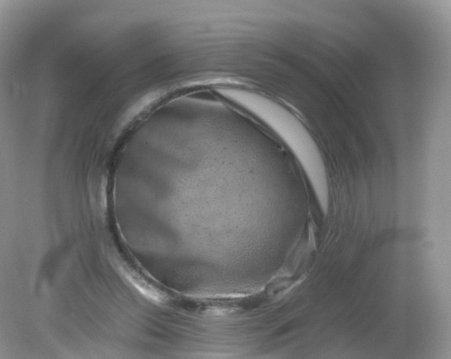 X0000081410350200701261829