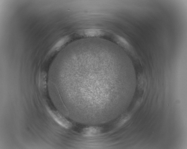 X0000081410356200701261830
