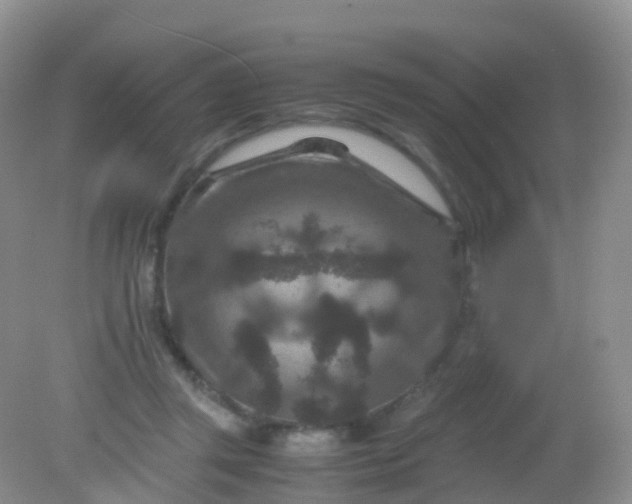 X0000081410357200701261830