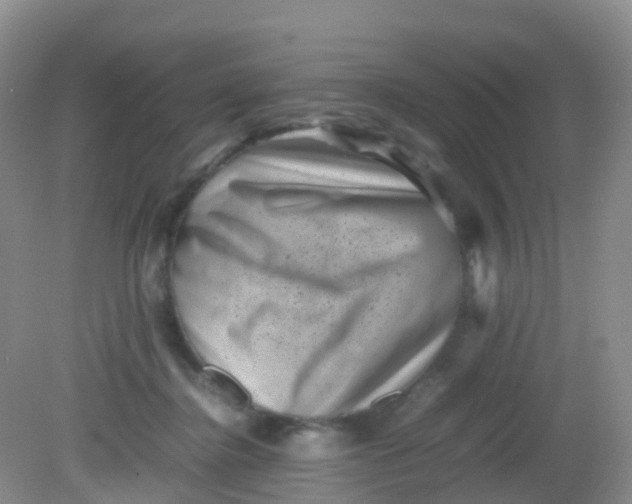 X0000081410364200701261830