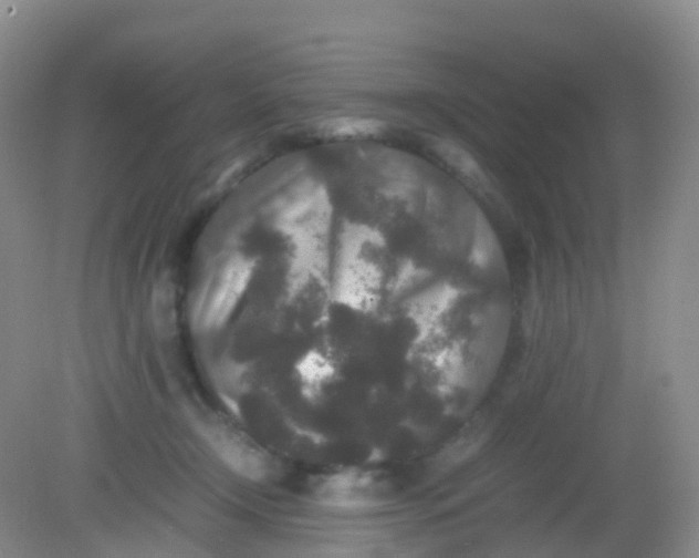 X0000081410366200701261830