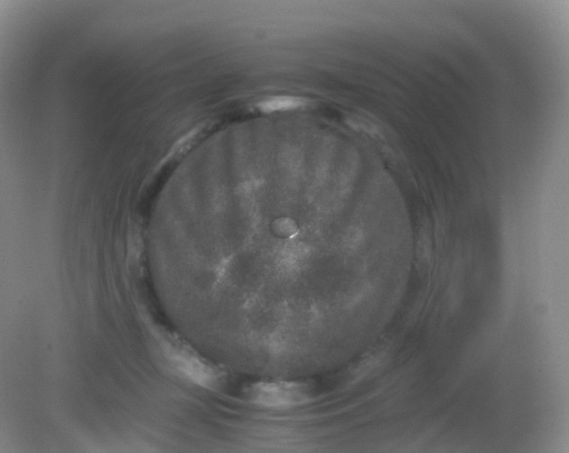 X0000081410367200701261830