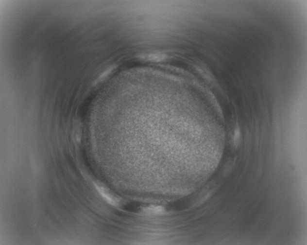 X0000081410374200701261830