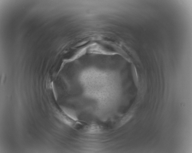 X0000081410384200701261830