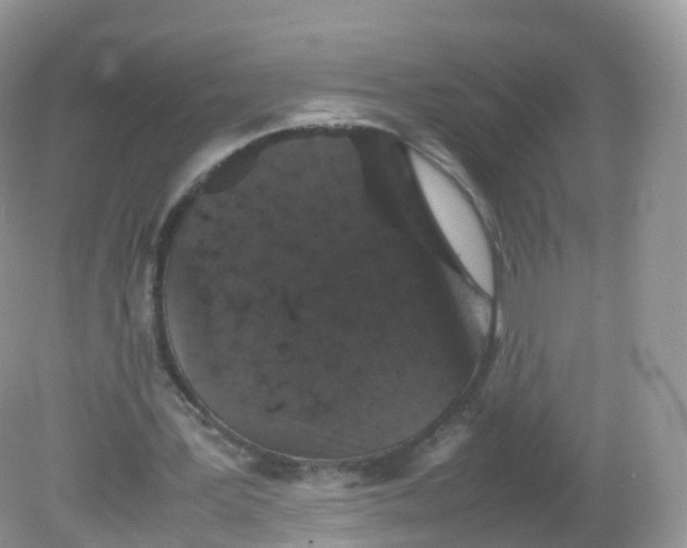 X0000081410387200701261829