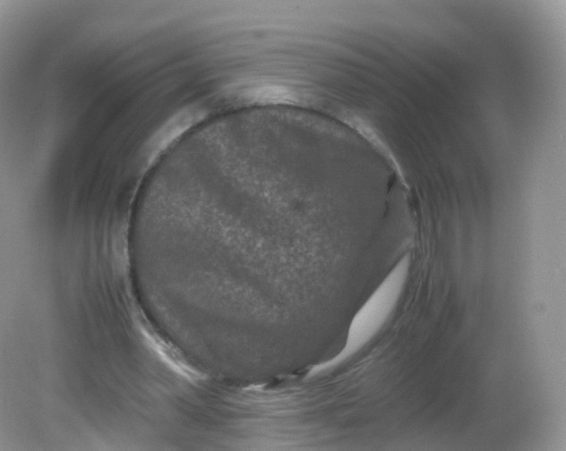 X0000081410390200701261829