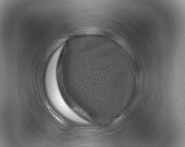 X0000081410397200701261829