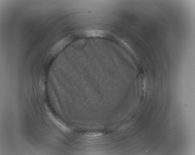 X0000081410402200701261829