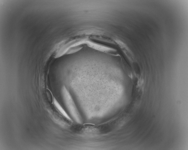 X0000081410403200701261829