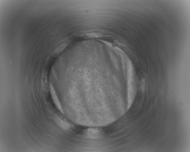 X0000081410418200701261829