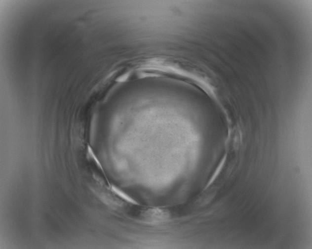X0000081410421200701261829