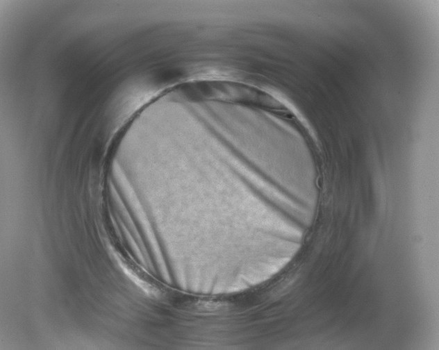 X0000081410437200701261828