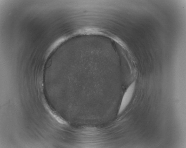 X0000081410438200701261828