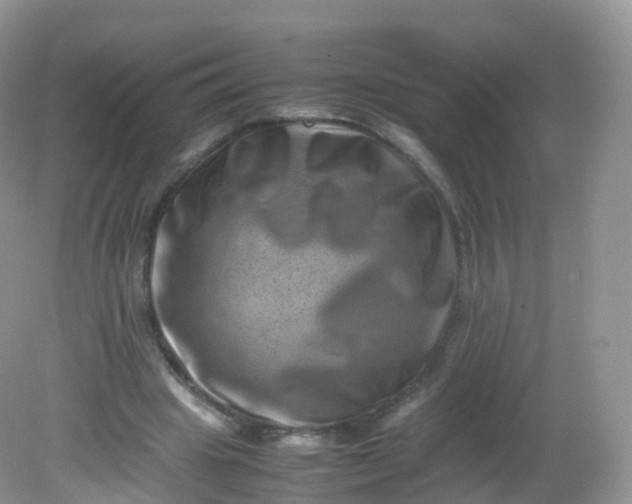 X0000081410441200701261828