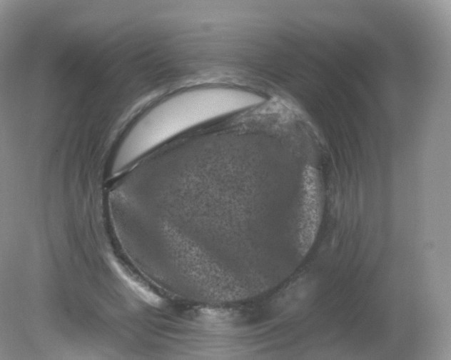 X0000081410442200701261828