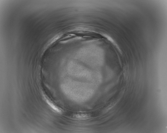 X0000081410445200701261828