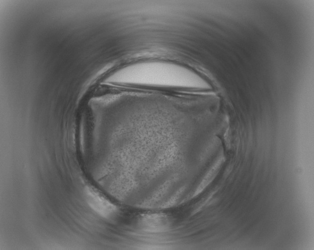 X0000081410446200701261828