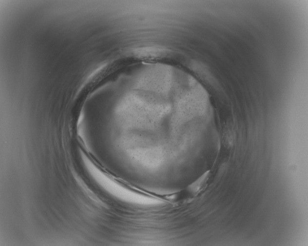 X0000081410448200701261828