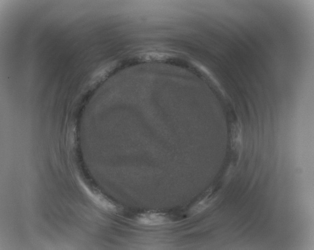 X0000081410451200701261828