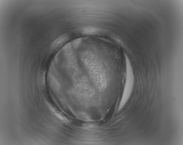 X0000081410454200701261828