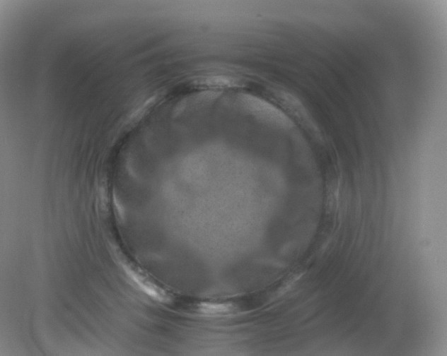 X0000081410457200701261828