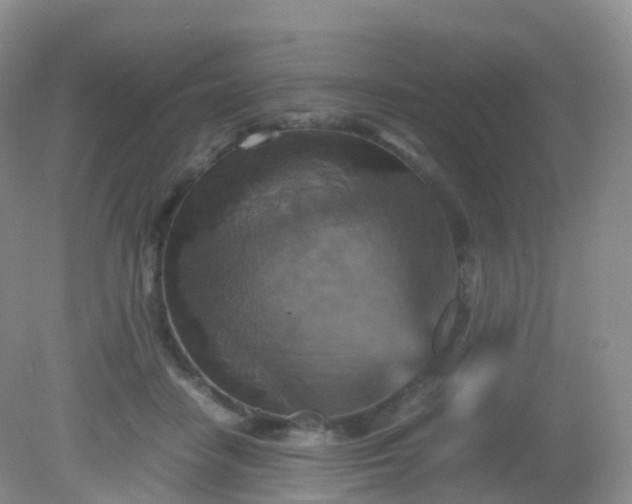 X0000081410458200701261828