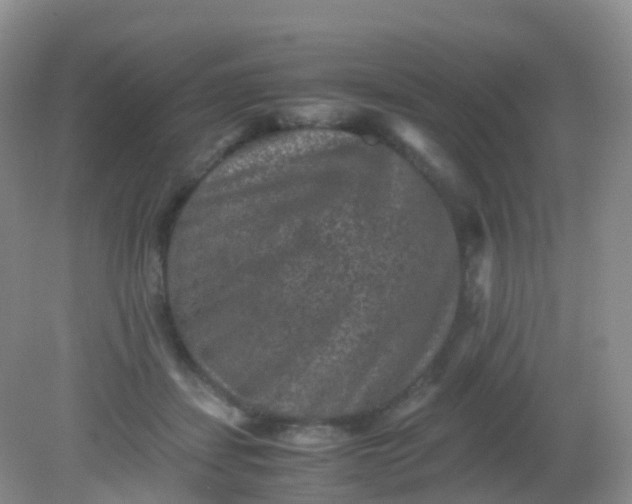 X0000081410459200701261828