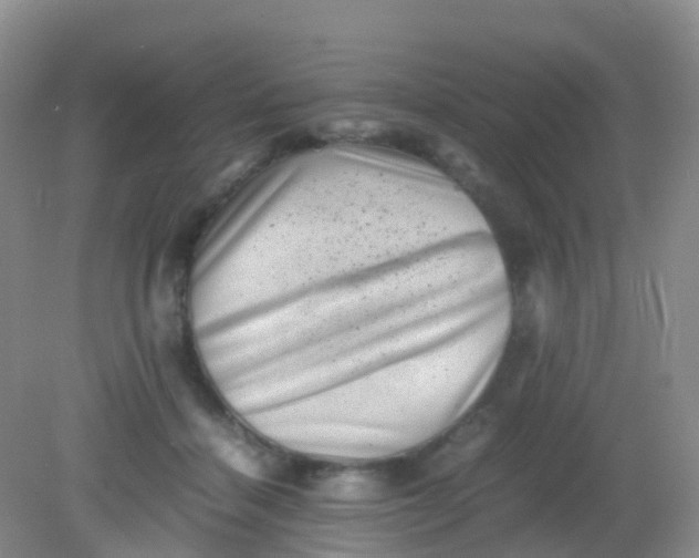 X0000081410460200701261828