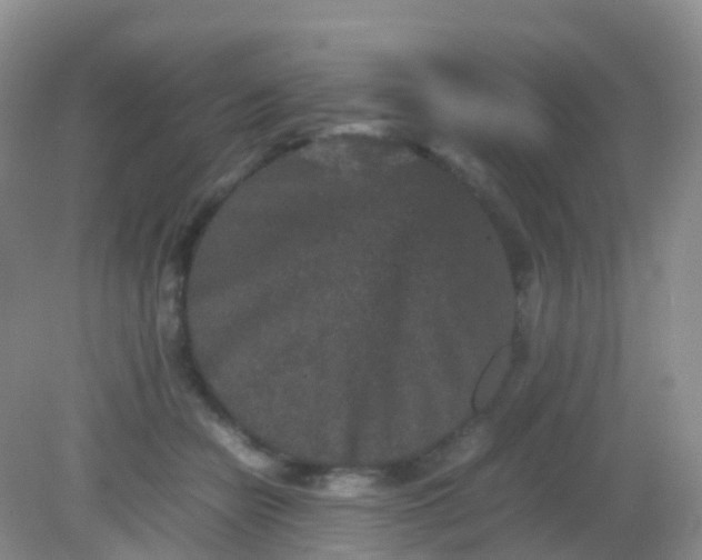 X0000081410462200701261828