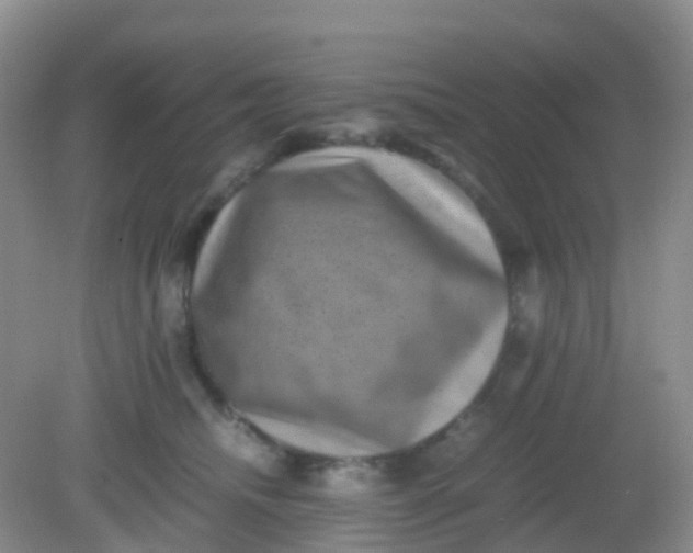 X0000081410468200701261828