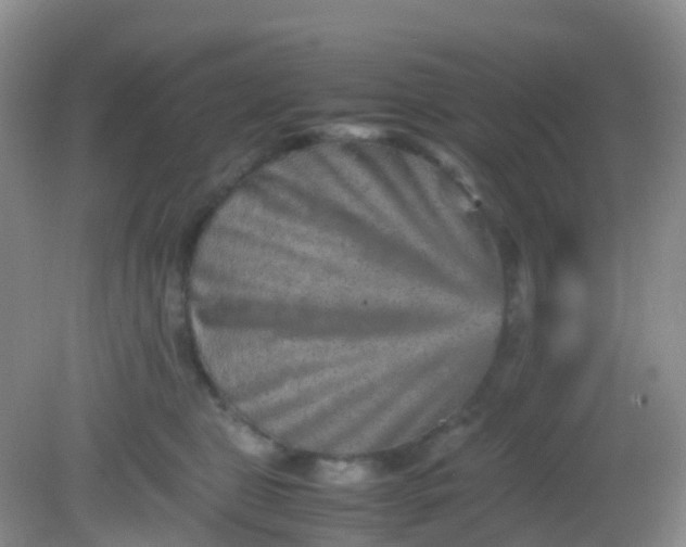 X0000081410469200701261828