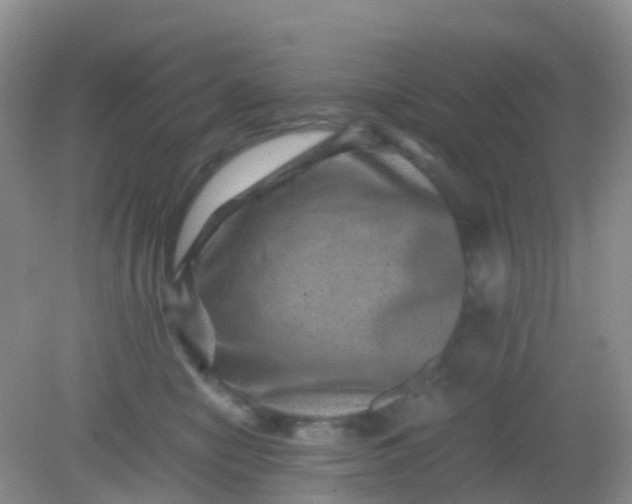 X0000081410470200701261828