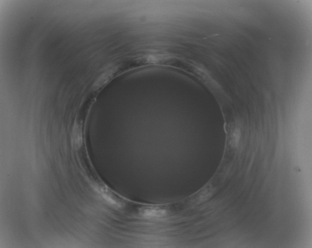 X0000081410471200701261828