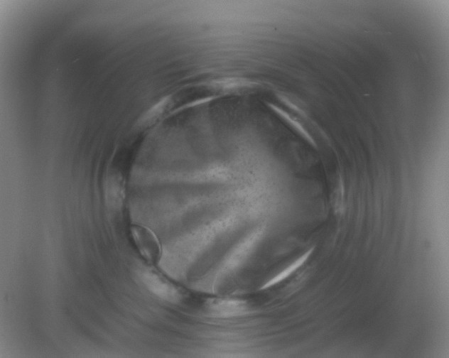 X0000081410476200701261828