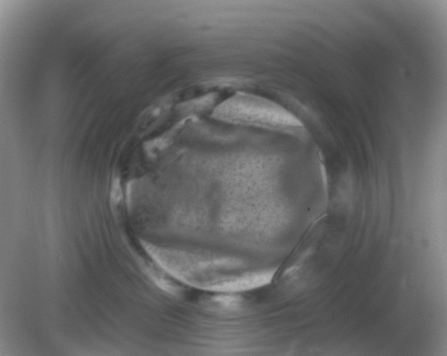 X0000081410478200701261828