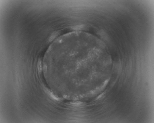X0000081410479200701261828