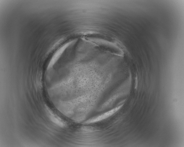 X0000081410490200701261827