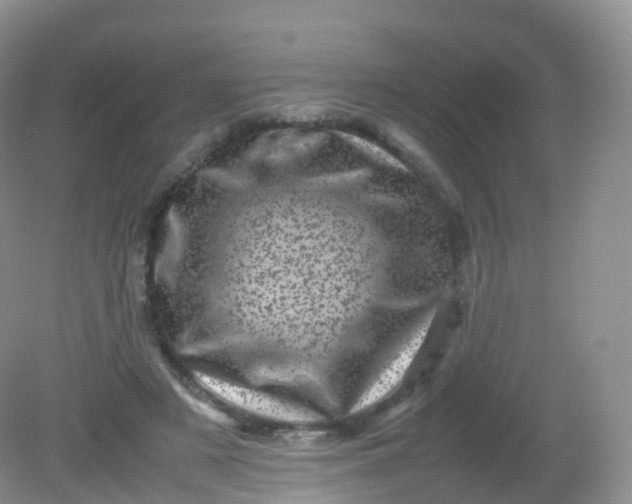 X0000081410497200701261827