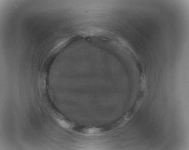 X0000081410501200701261827