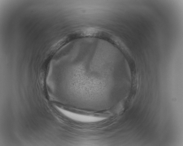 X0000081410505200701261827