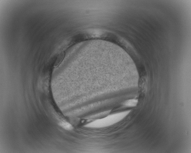 X0000081410509200701261827