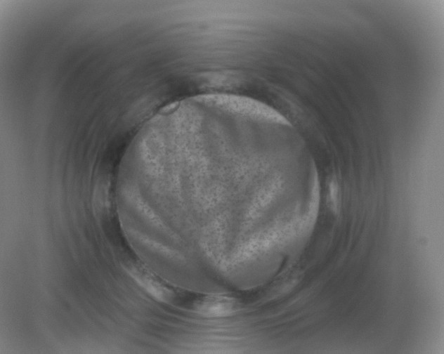 X0000081410514200701261827