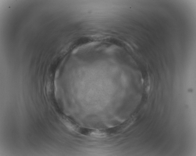 X0000081410515200701261827