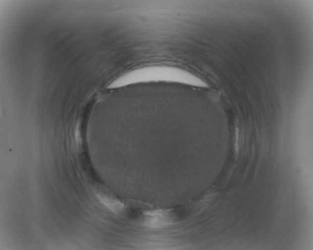 X0000081410516200701261827