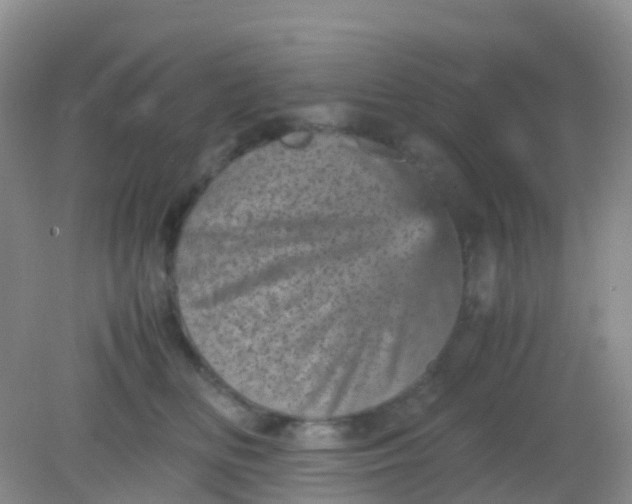 X0000081410518200701261827