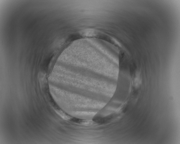 X0000081410521200701261827