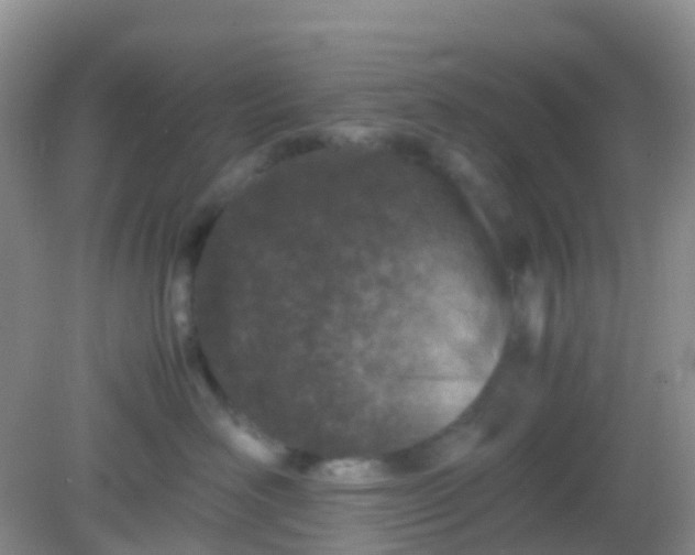 X0000081410526200701261827